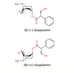 Scopolamin