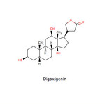 Digoxigenin