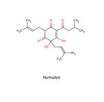 Humulon