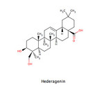 Hederagenin